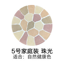 日本直邮Elegance雅莉格丝E大饼欢颜粉饼家庭27g便携8.8g替换 5号家庭装 Ⅴ号