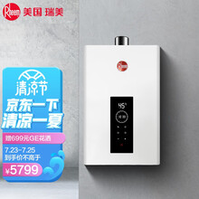 瑞美（Rheem）家用零冷水快速式燃气热水器 智能恒温 自带循环泵 JSQ32-GTE11 强排室内型
