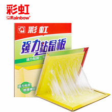 彩虹粘鼠板加强型粘胶物理捕鼠粘鼠器诱饵强力粘胶粘鼠贴捕鼠器诱鼠板粘鼠贴粘鼠片 强力型1张  6801