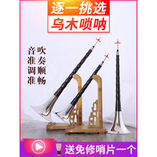 唢呐乐器唢呐乐器 初学者/ 成人 全套 E/降E/D/C降b调 C调 套餐二