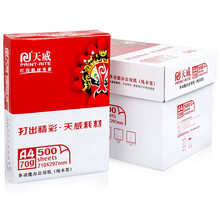 天威（PrintRite）多功能A4复印纸 70g 一箱（5包）500张/包