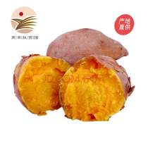 [商南助农馆] 板栗红薯黄芯香薯 新鲜地瓜 4.5kg