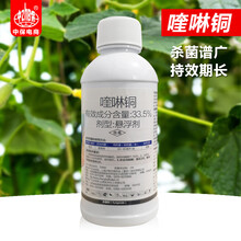 33.5%喹啉铜真菌细菌性角斑病霜霉病溃疡病炭疽杀菌剂有机铜500克 500g