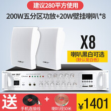 先科壁挂音响音箱室内无线蓝牙套装背景音乐公共广播商铺超市餐厅悬挂壁式天花吸顶服装奶茶店 200W五分区功放+20W壁挂8个（280平）