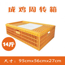 鸡笼子塑料小鸡笼家用笼子家禽转运笼鸡笼鸭笼成鸡运输周转箱鸡筐 14斤方笼超大款 XL-超大型