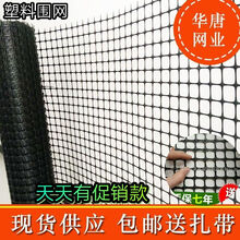 后庭花园艺用品 京东 后庭花园艺用品 京东
