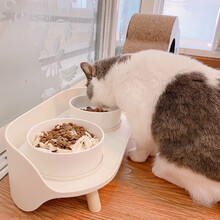 凡可奇 猫碗陶瓷双碗狗碗猫盆食具水具防打翻防外溅猫咪水碗用品 白色