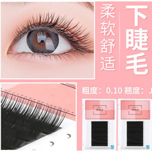 Y 分段式下睫毛假睫毛0.10嫁接睫毛蚕丝蛋假睫毛柔软自然种植蛋丝水貂毛单根 下睫毛 0.10J 混装（6和7MM各6排）