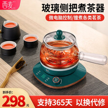 西麦（CIMI）煮茶器花茶壶家用煮茶壶黑茶养生壶小型办公室玻璃电热蒸茶壶 0.5L旋钮款