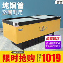 【老牌国货】雷雪 岛柜 冰柜商用展示柜冷藏冷冻柜 大容量商用冰柜展示柜 欧式岛柜 平岛1200*650*910