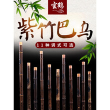 巴乌 横吹 紫竹乐器演奏 送初学资料 小DC降bAGFE大降E大c E调