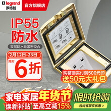 罗格朗（LEGRAND）电工电料五孔地插座隐藏式地插地板地面插座（不含底盒） 金色IP55六类网络地插