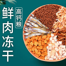 意牌乌龟饲料龟粮虾干乌龟饲料巴西金线草龟料龟幼龟小鳄龟甲鱼龟饲料乌龟食料干虾面包虫干通用型 1.5鲜肉龟粮/1380ml/550g