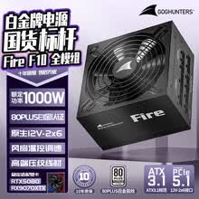 长城（Great Wall） Fire白金全模组电源 台式机主机电源/自动启停 F10白金全模ATX3.1（额定1000W）