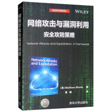 网络攻击与漏洞利用：安全攻防策略