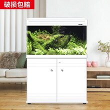 【上楼免费】博宇水族箱玻璃加宽中大型生态鱼缸灯免换水家用客厅龙鱼缸加底滤桶养水草金鱼过滤 EA-100白色鱼缸不带柜(100*40*56)