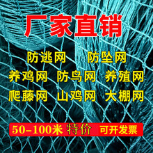 塑料养鸡网家禽养殖网天网拦鸡鸭网防护网菜园围栏网尼龙网汐岩 养鸡网1米高*50米长