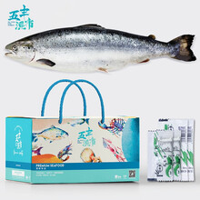 核酸已检测 华润 五丰渔市 挪威冰鲜三文鱼整条(5-6kg)(大西洋鲑) 原鱼发货 生鲜 海鲜水产