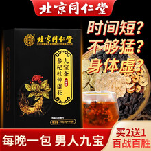 北京同仁堂人参九宝茶可配壮阳阳痿早泄增硬持久型产品增大增粗茶保健品玛咖枸杞黄精红枣桑椹五宝茶 滋补茶1盒30袋=59.9