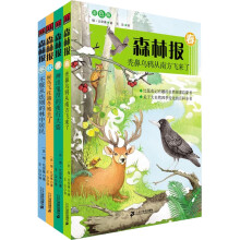 森林报系列（彩色版 套装全4册） 课外阅读 暑期阅读 课外书