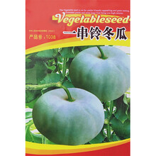 禾花楹蔬菜种子 粉皮冬瓜种子 大冬瓜种子一串铃冬瓜种子 台湾迷你小冬瓜种孑小可爱种子东瓜白瓜蔬果种籽 一串铃冬瓜种子 约30粒/包