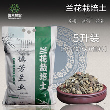德芳兰业 四季兰花苗带花苞 室内兰草植物花卉盆栽 君子兰  蝴蝶兰 魔力肥通用固体 缓释肥颗粒 精装拌好的（5升装）
