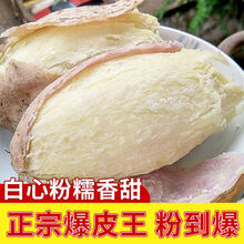板栗红薯 冰淇淋红薯 白心地瓜 3斤番薯批发 爆粉王薯5斤【中果】高品质爆粉王