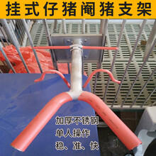 猪客 新款加强三角挂式仔猪小猪阉割支架去势台便携不锈钢 不锈钢挂式阉猪架