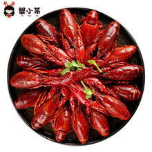 蟹小茉 小龙虾可剥虾尾小龙虾球 十三香小龙虾16-25只860g(4-6钱)
