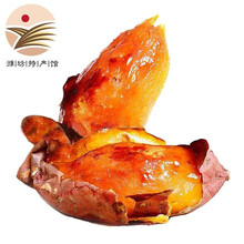潍坊馆 山东烟薯25蜜薯新鲜红薯2.25kg板栗味新鲜蔬菜