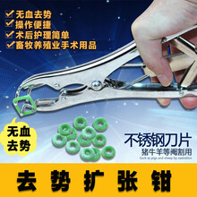 猪羊不锈钢断尾圈扩张钳猪断尾钳牛羊羔去势圈钳去势钳无血去势 100个圈(绿色)