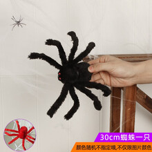 盛泉万圣节装饰品道具鬼屋酒吧装饰道具 用品 白色 黑色 恐怖整蛊幼儿园场景布置大蜘蛛网 30cm蜘蛛 蜘蛛网不含蜘蛛