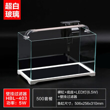森森鱼缸小型鱼缸超白玻璃鱼缸桌面鱼缸生态缸水草缸金鱼缸水族箱 超白缸50cm长+过滤器+LED灯+大号鱼捞