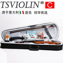 台氏（Tsviolin）考级小提琴实木初学者手工儿童成人演奏级小提琴练习用琴儿童小提琴乐器 进阶甄选款哑光人工虎纹1/8身高115cm适用