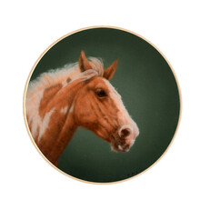 墨斗鱼 胡桂东布面油画原作动物马 客厅卧室装饰画沙发背景墙壁画新中式轻奢挂画现代简约餐厅艺术品 马·竹青