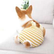 母狗狗生理裤女柯基泰迪小狗卫生巾法斗宠物期小型犬内裤大姨妈裤 黄色 XS-腰围：23-28cm