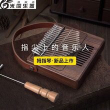 全单板卡林巴拇指琴音手指琴拇指钢琴初学者成人学生 拇指琴TK-R1电箱款【空灵音色，旗舰品质】
