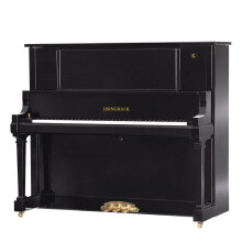 星海钢琴 凯旋K-132立式钢琴德国进口配件 专业考级演奏琴