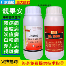 奥力克青枯立克溃腐灵靓果安大蒜油沃丰素果树蔬菜青枯根腐流胶腐烂枯黄萎蔓枯姜瘟茎基腐病农药杀菌剂 靓果安500ml