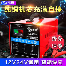 彤奥 大功率纯铜电瓶充电器汽车12v24V伏车用电池通用型摩托车货车蓄电池充修复电机用品 TA-300A纯铜快速充电器