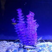 鱼缸里的仿真水草鱼缸海草活的鱼缸里放的鱼草鱼缸内水生植物水下 小号24cm高紫宝塔