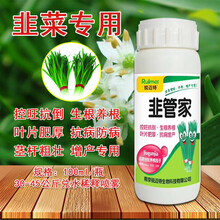韭菜专用控旺防徒长矮壮素养根壮根增粗剂叶面肥矮化剂一喷绿肥料 韭菜控旺100ml