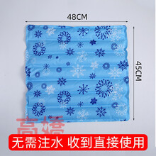 免注水医用水垫防褥疮坐垫老人冰垫水坐垫屁股护理冰凉水袋床垫夏 45*48cm  浅雪花