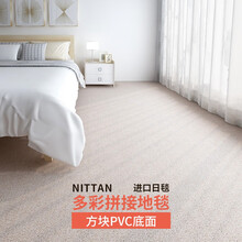 日毯 地毯卧室满铺方块拼块拼接地毯客厅家用地毯商用办公室地毯 环保PVC底 日毯TC1000系列 TC1052 杏色 1片50cm*50cm