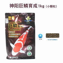 神阳巨鳞红白三色增体鱼粮锦鲤鱼饲料增色鱼食观赏鱼饲料浮上颗粒 巨鳞育成 1kg 小颗粒#