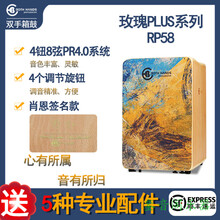 BH箱鼓卡宏鼓卡洪玫瑰PLUS手鼓肖恩签名欧标加大专业电声鼓 BHC-RP58 肖恩签名款