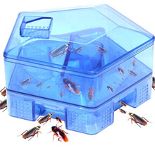 蟑螂屋五入口蟑螂捕捉器蟑螂诱捕器蟑螂贴蟑螂药灭蟑药杀蟑器 一个装