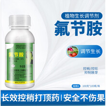 氟节胺棉花打顶剂抑芽柑橘控稍控旺专用灭芽灵农药调节剂 100g