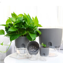 花盆懒人自动吸水半透明 多肉绿萝植物塑料盆器 水培简约仿陶瓷金属质感免浇水 兰花发财树盆栽容器 批发 灰色 A707中大/ 宽15.5*高18.5