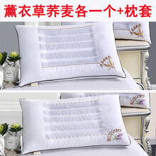 一对装决明子枕头单人双人枕芯家用荞麦护颈忱头男整头成人带枕套 薰衣草/荞麦各一个【送枕套】